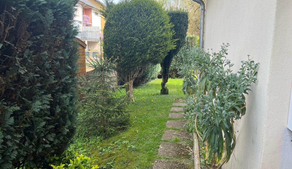 jardin 3